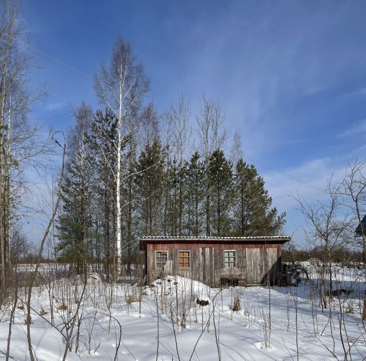 дом р-н Тосненский д Шумба ул Лесная 4 Форносовское городское поселение фото 4