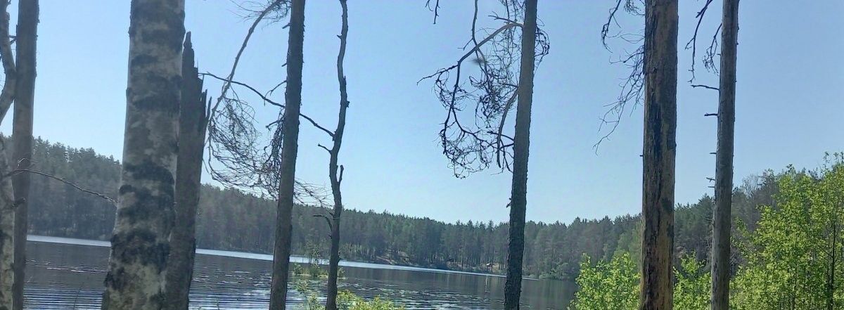 земля р-н Выборгский п Цвелодубово Рощинское городское поселение, Беговая фото 2