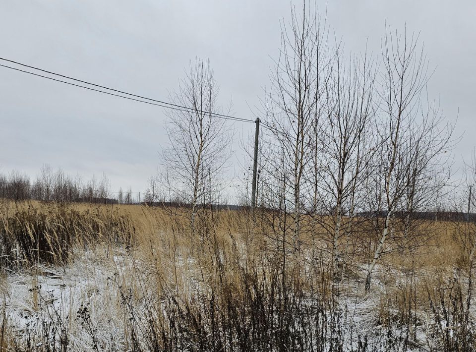 земля городской округ Луховицы п Совхоза Астапово фото 1