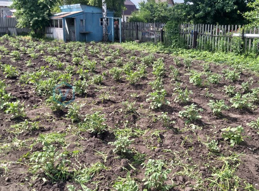 дом г Омск Омск городской округ, СТ Птицевод-2 фото 10