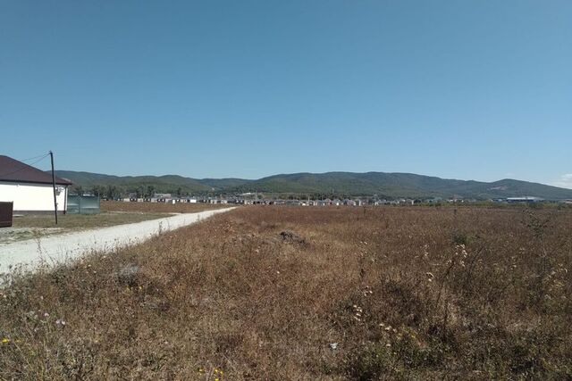 Новороссийск городской округ, ст-ца Натухаевская фото