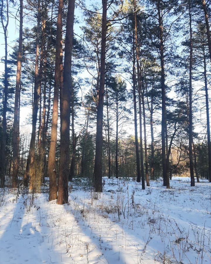 дом р-н Карачевский д Мылинка Мылинское сельское поселение, Карачев фото 3