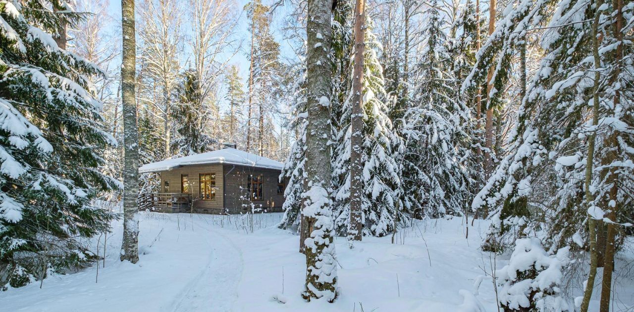 земля р-н Всеволожский п Западная Лица Сертоловское городское поселение, Проспект Просвещения фото 9