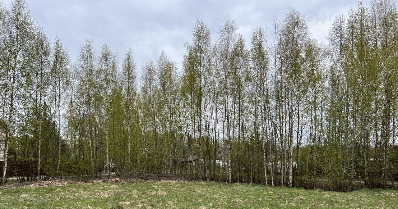 земля р-н Кировский д Горы ул Путейская 14 Павловское городское поселение фото 16