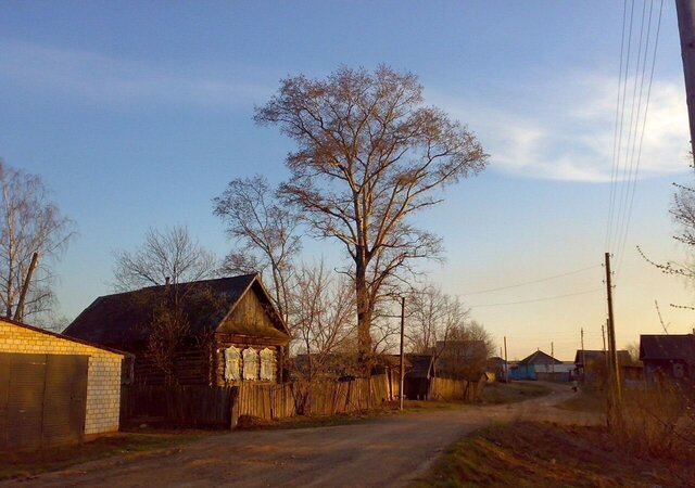 д Динтем-Бодья ул Ветеранов Ижевск фото