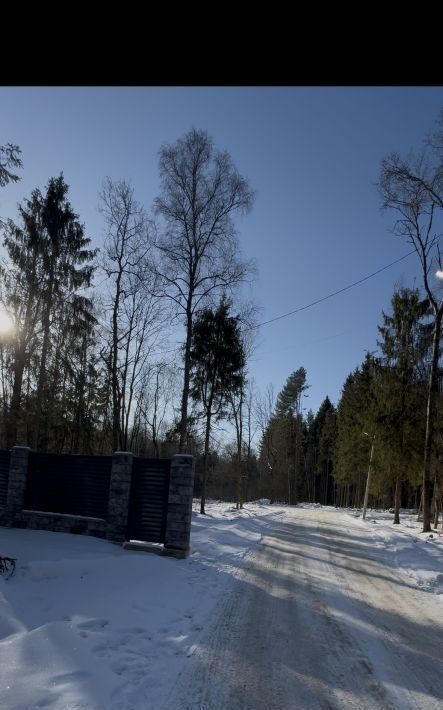 земля городской округ Дмитровский д Сазонки Форест кп фото 8