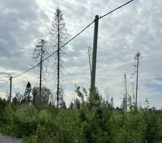 земля г Череповец р-н Заягорбский ул Ростовская фото 2