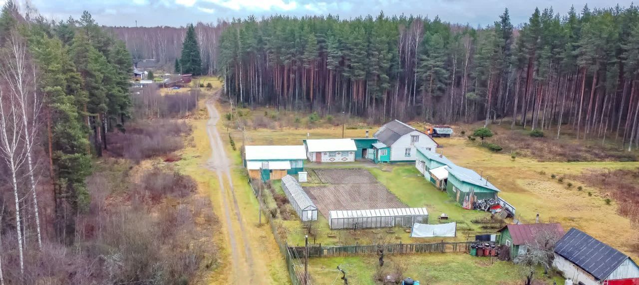 земля р-н Всеволожский Рахьинское городское поселение, Ладожское СНТ фото 1