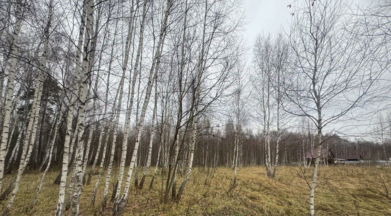 земля городской округ Серпухов п Оболенск фото 1