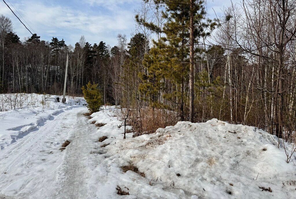 земля р-н Иркутский снт Раздолье фото 2