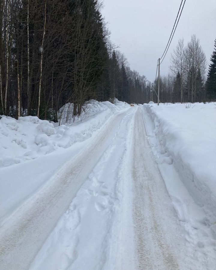 земля р-н Пермский п Лесоучасток 831 снт Ключик Пермь фото 3