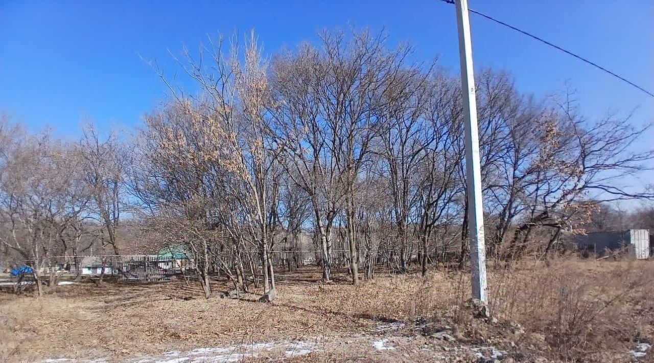 земля г Партизанск ул Волочаевская фото 4