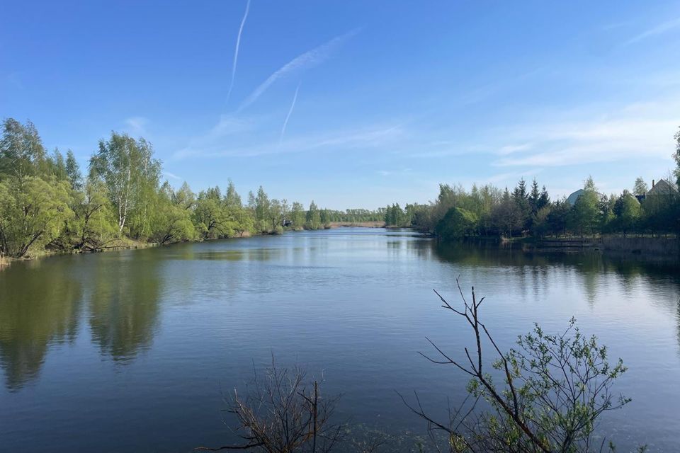 земля городской округ Раменский дачный посёлок Чистые Пруды фото 1