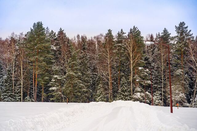 ТСН Мышенское фото