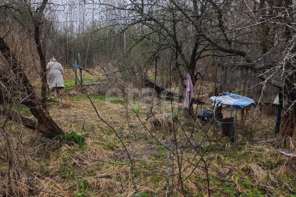 земля городской округ Орехово-Зуевский СНТ Мечта фото 4