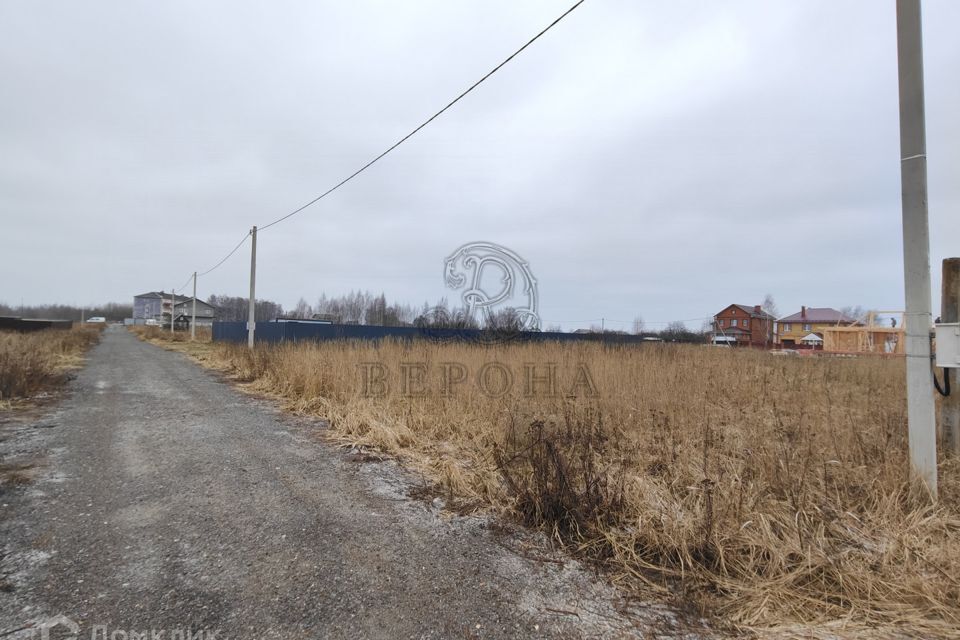 земля городской округ Богородский деревня Большое Буньково фото 3