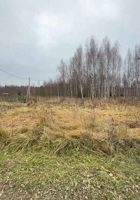 земля городской округ Сергиево-Посадский д. Каменки фото 2