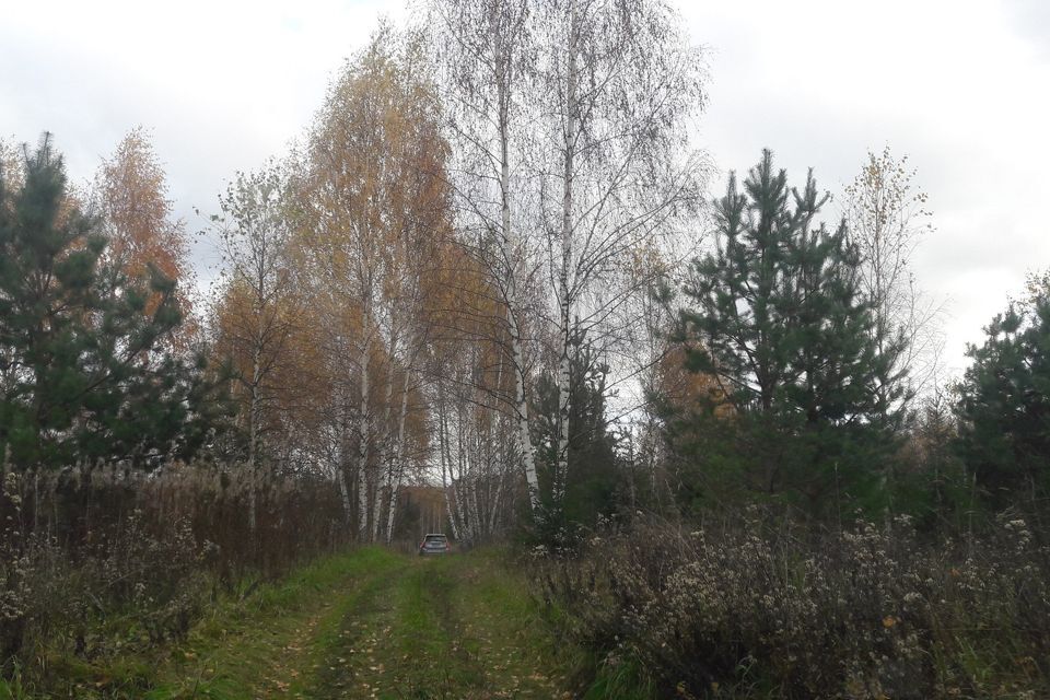 земля городской округ Рузский д. Вишенки фото 4