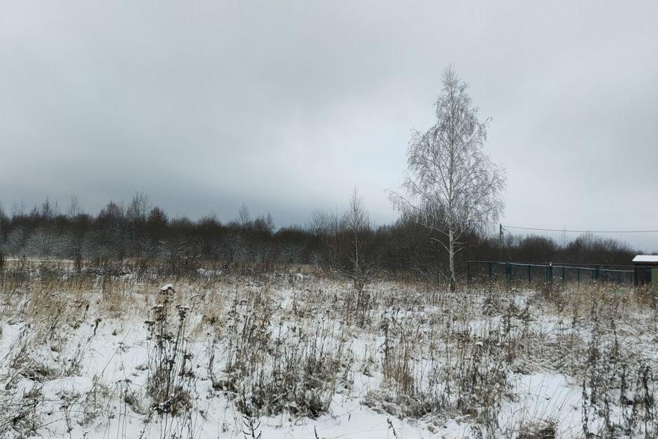 земля городской округ Раменский фото 2