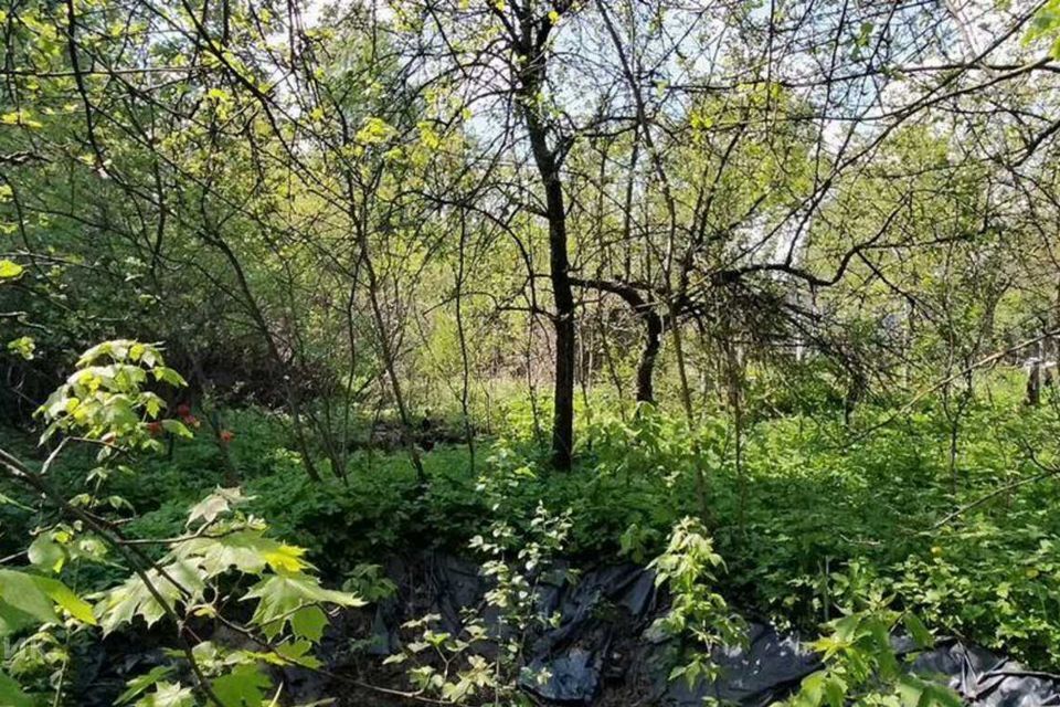 земля г Москва Балашиха городской округ, Московская область, Балашиха, Институтская улица, 23 фото 4