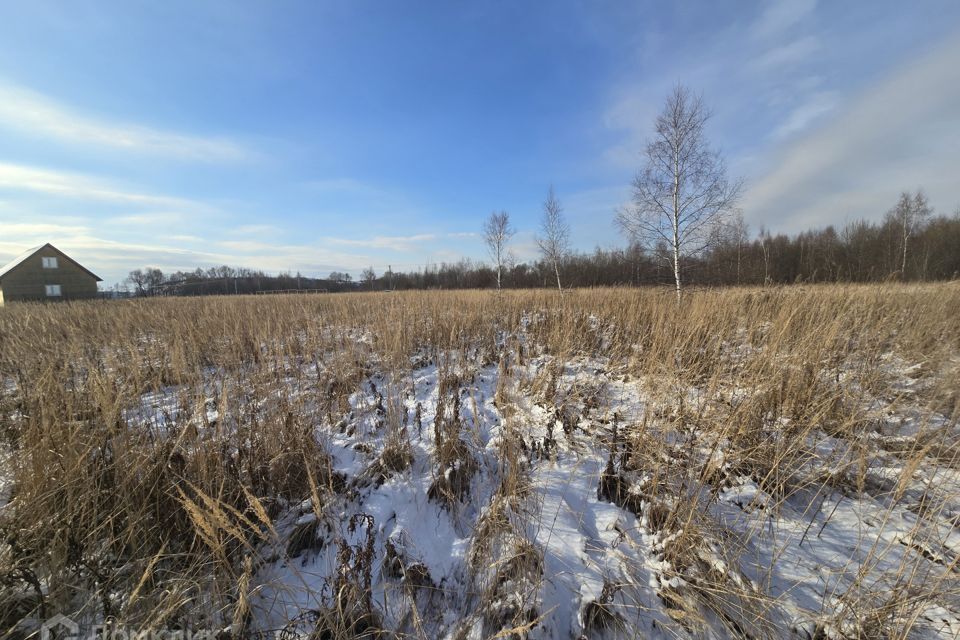 земля городской округ Воскресенск Дачный посёлок Солнечная долина-3 фото 4