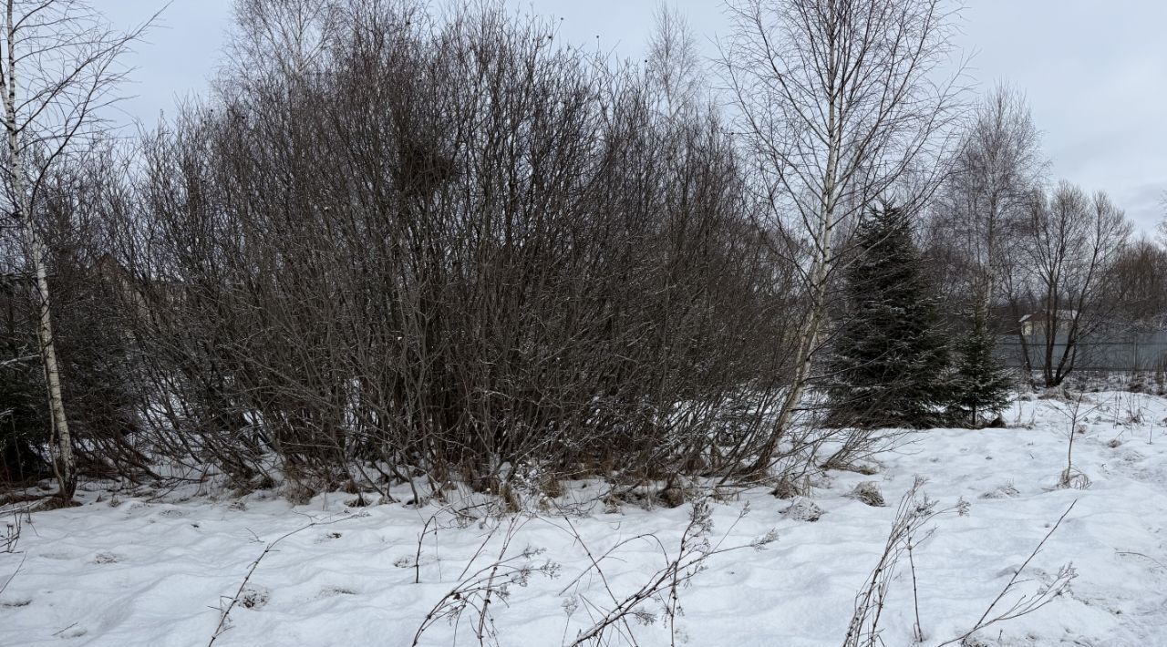 земля городской округ Талдомский снт тер.Прогресс 42, Наро-Фоминский городской округ фото 1