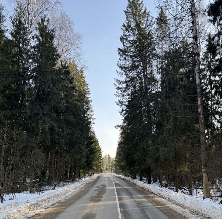 земля городской округ Пушкинский Учинская роща кп фото 1