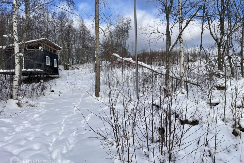 земля р-н Всеволожский Солнечная равнина, 5 фото 5