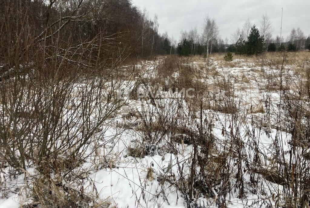 земля городской округ Раменский Раменское, дачный посёлок Радужный, территория квартал 20396 фото 1