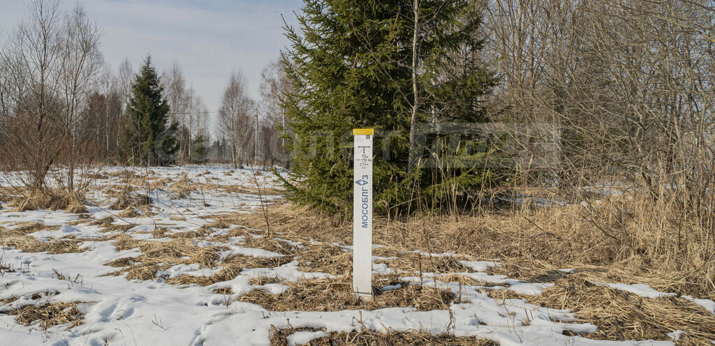 дом городской округ Наро-Фоминский д Тимофеево 47 фото 14