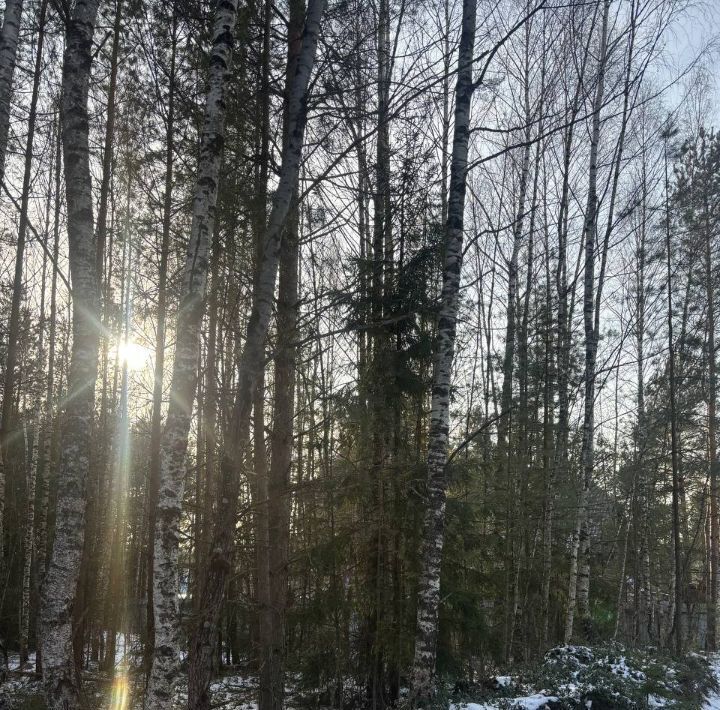 дом городской округ Талдомский снт тер.Междуречье Дмитровский муниципальный округ фото 11