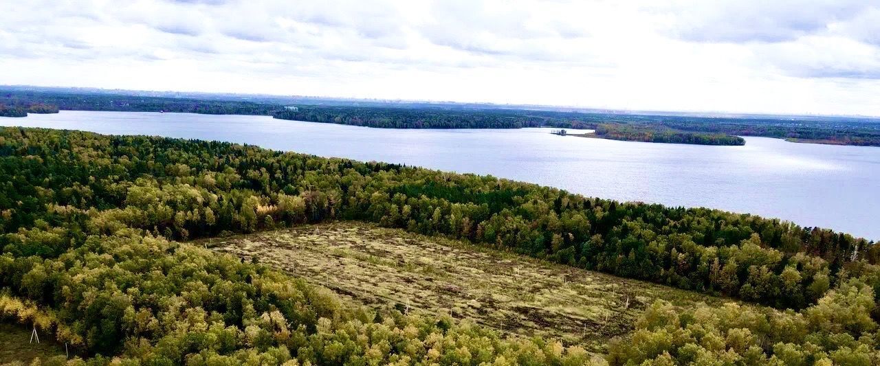 земля городской округ Пушкинский Лиса кп фото 7