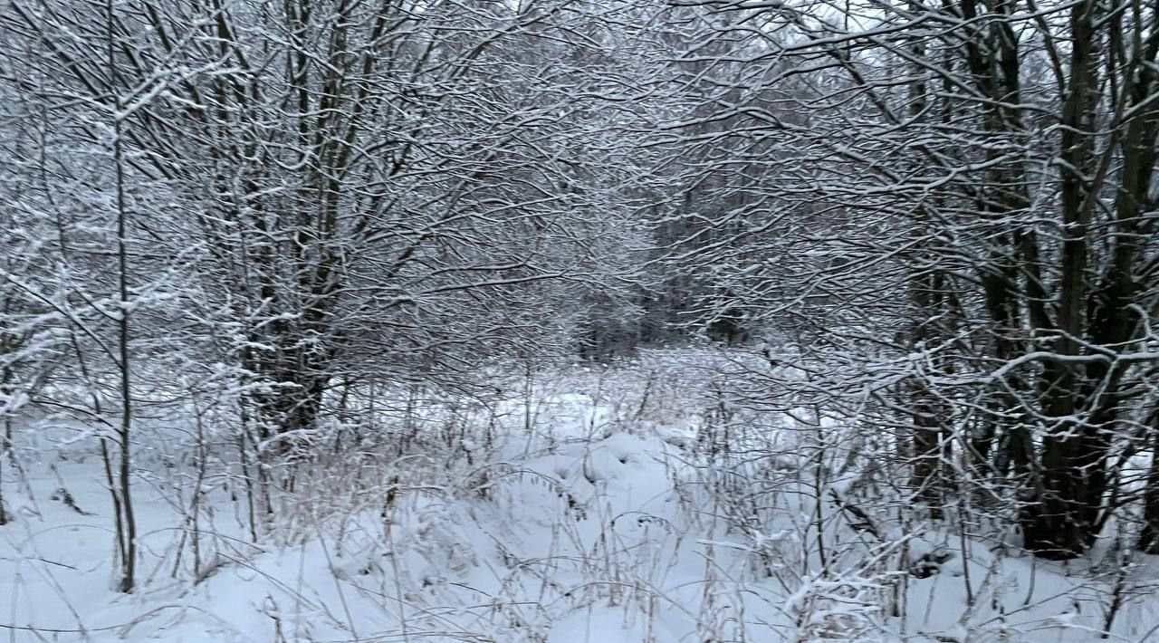 земля городской округ Воскресенск д Чемодурово ул Восточная фото 1