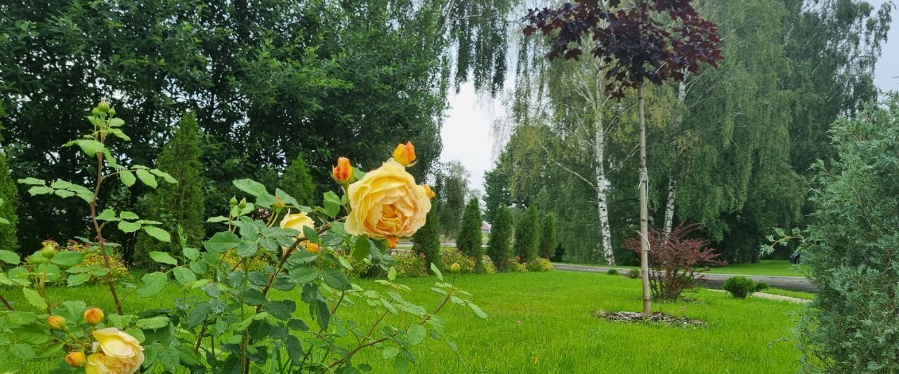 земля городской округ Чехов д Большое Петровское Петровское парк 2 кп фото 3