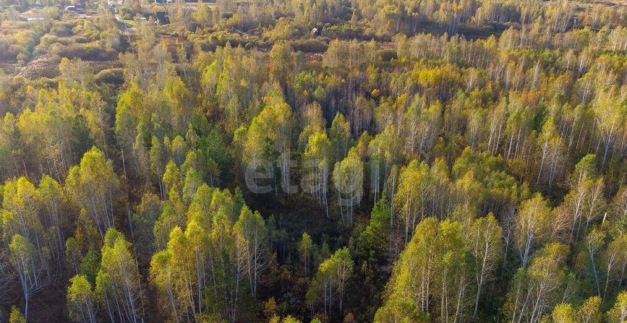 земля г Тюмень снт Светлое фото 3