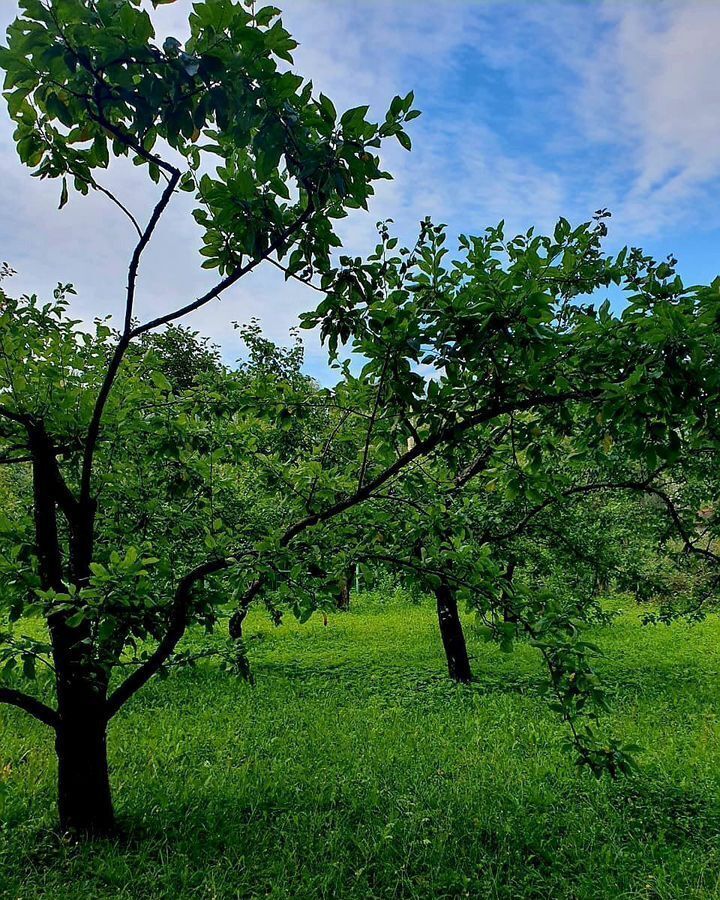 земля р-н Кстовский сельский пос. Опытный, Нижний Новгород фото 3