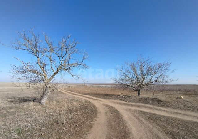 Ароматновское сельское поселение, Белогорск фото