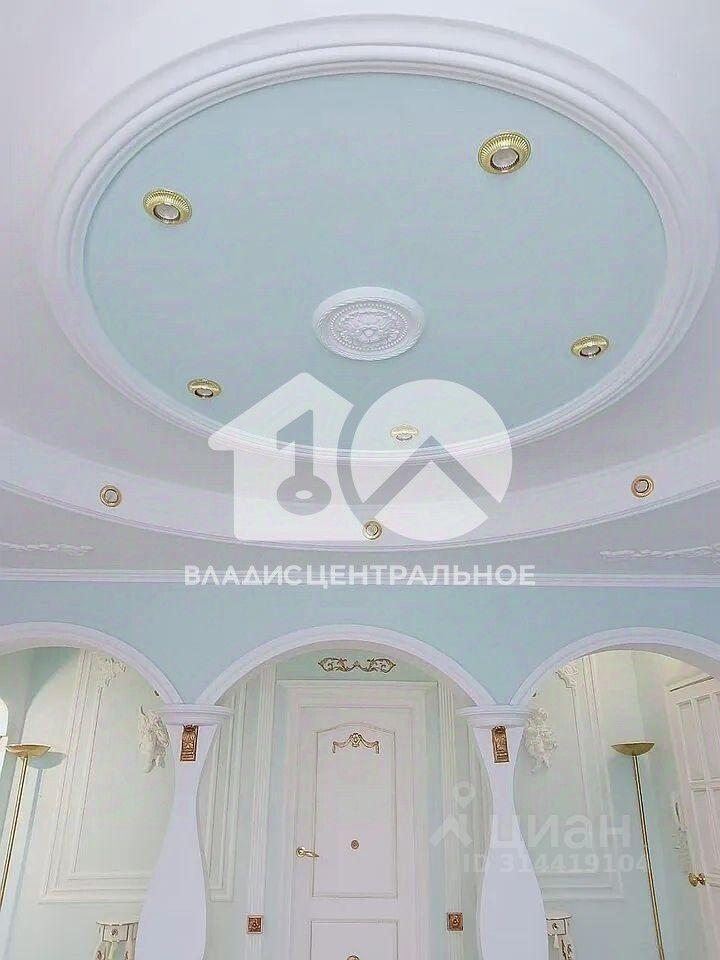 квартира г Новосибирск р-н Центральный ул Селезнева 50 фото 9