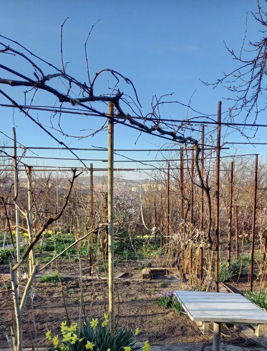 дом г Керчь Залив садово-огороднический кооператив, ул. Маршала Кулешова фото 21