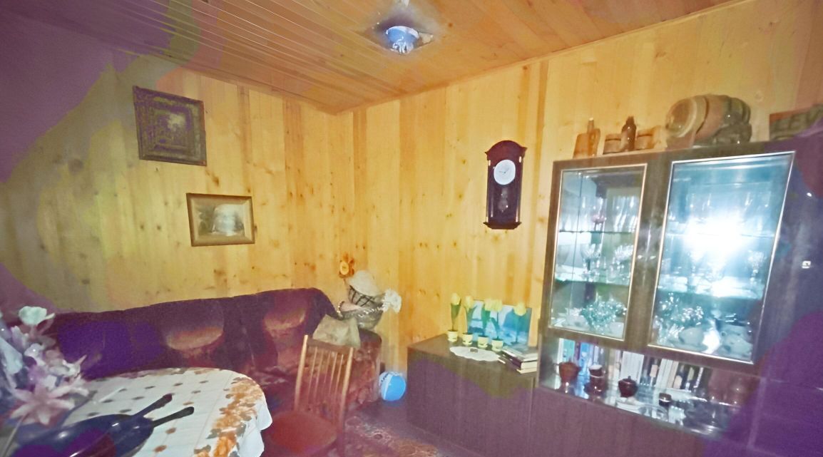 дом городской округ Богородский г Ногинск снт тер.Алешинские сады ул. 10-я фото 29
