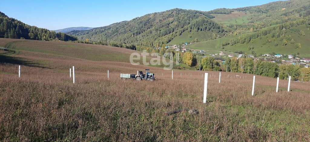 земля р-н Майминский с Бирюля ул Таркольская фото 3