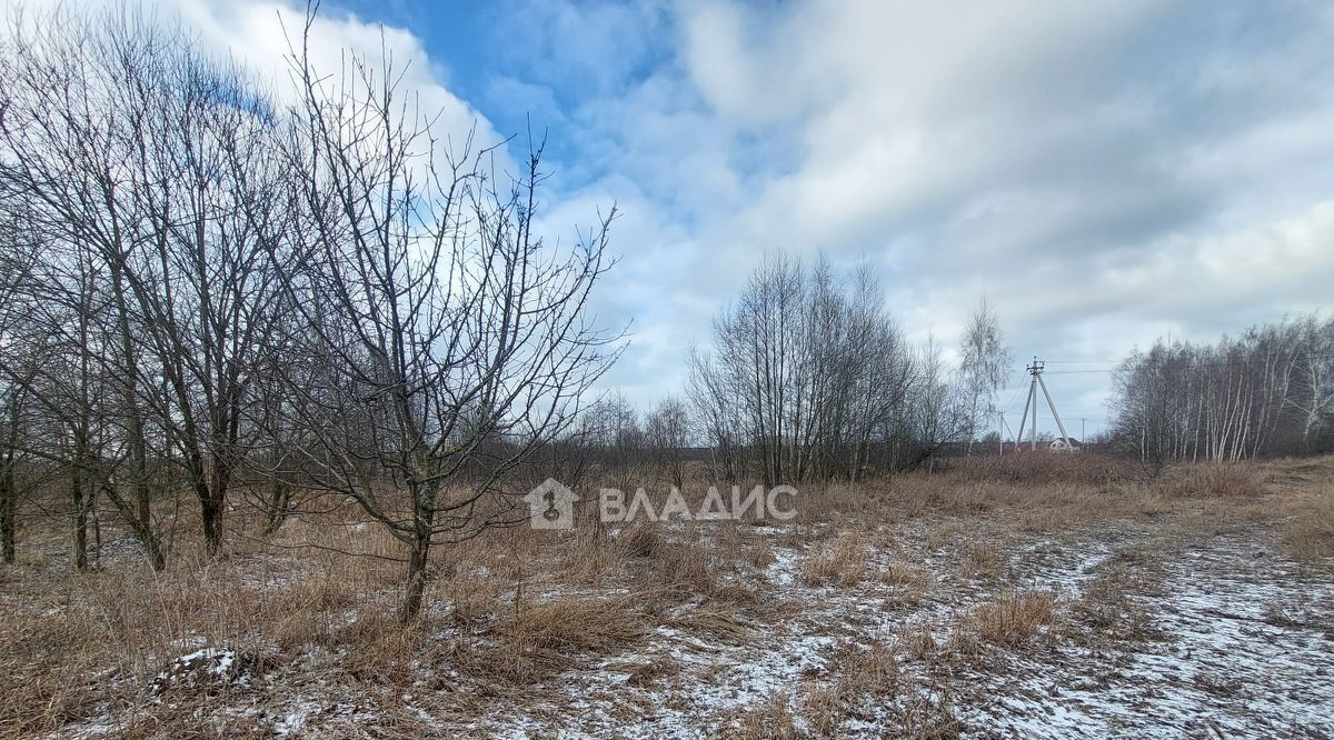 офис г Воскресенск Цибино-2 тер фото 2