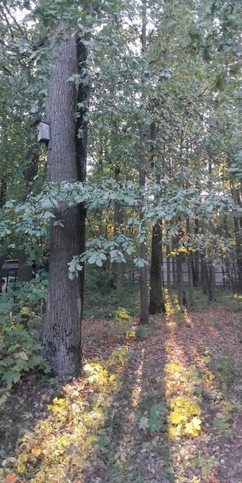 земля городской округ Одинцовский п Горки-2 тер ПЖСК Лесной простор 42 Баковка фото 2