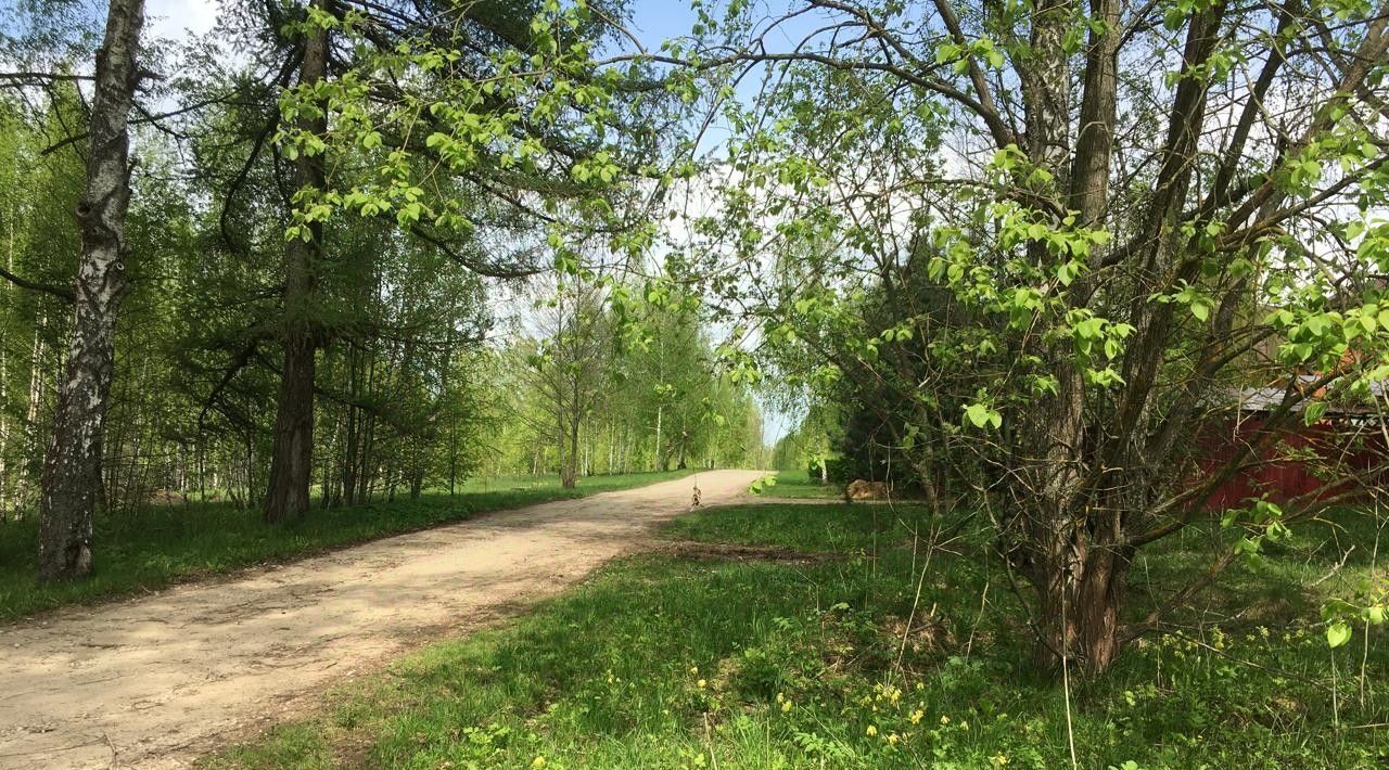 земля р-н Бабынинский д Альшаны Село Бабынино с/пос фото 4