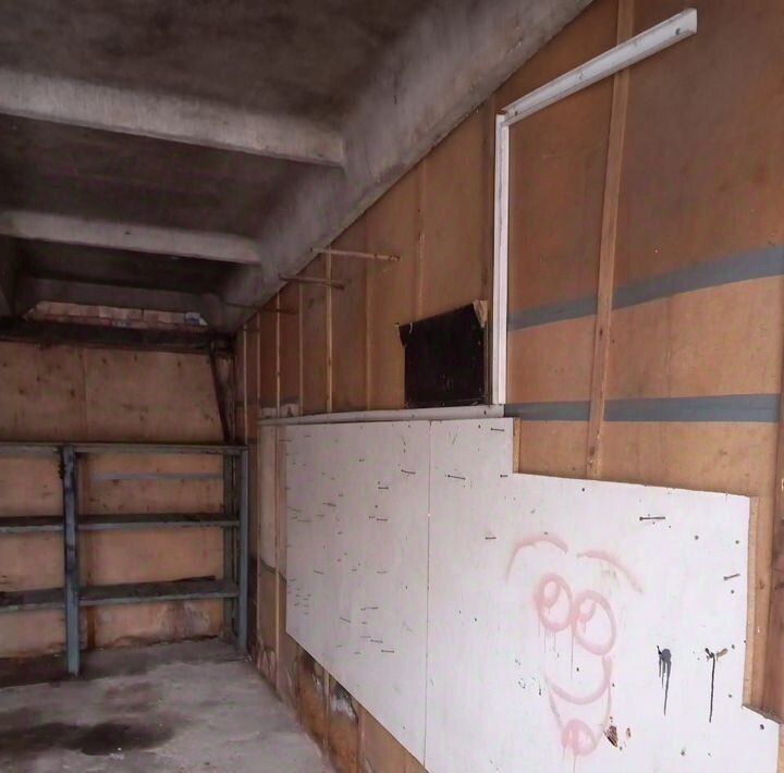 гараж г Псков ул Труда 68б фото 3
