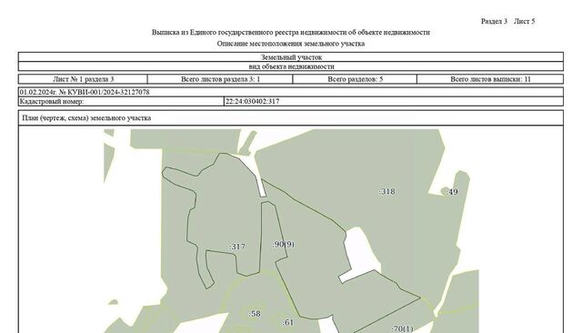 р-н Курьинский с Ручьёво ул Центральная Казанцевский сельсовет фото