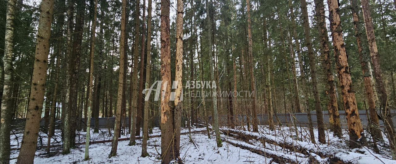 земля городской округ Одинцовский п Анашкино ул Земляничная поляна 64 км, Дорохово, Минское шоссе фото 2