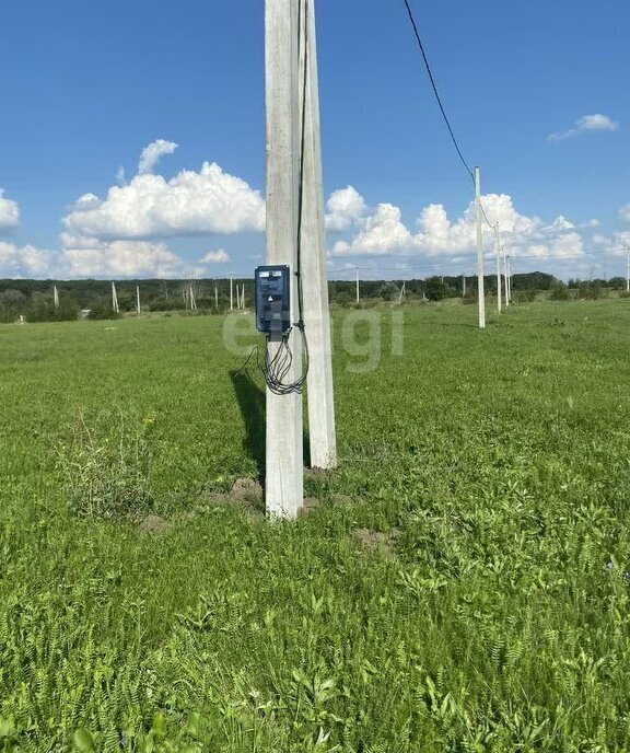 земля г Воронеж Лесная улица фото 1