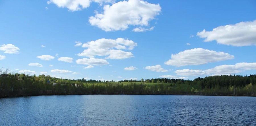 земля городской округ Раменский днп У Озера Дмитровский муниципальный округ фото 4