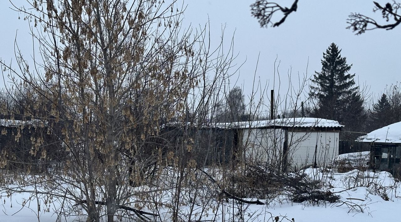 земля г Омск р-н Центральный СОСН Березка тер., аллея 19-я, 375 фото 4